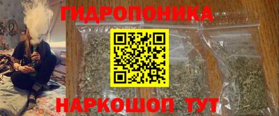 соль ск Дубна