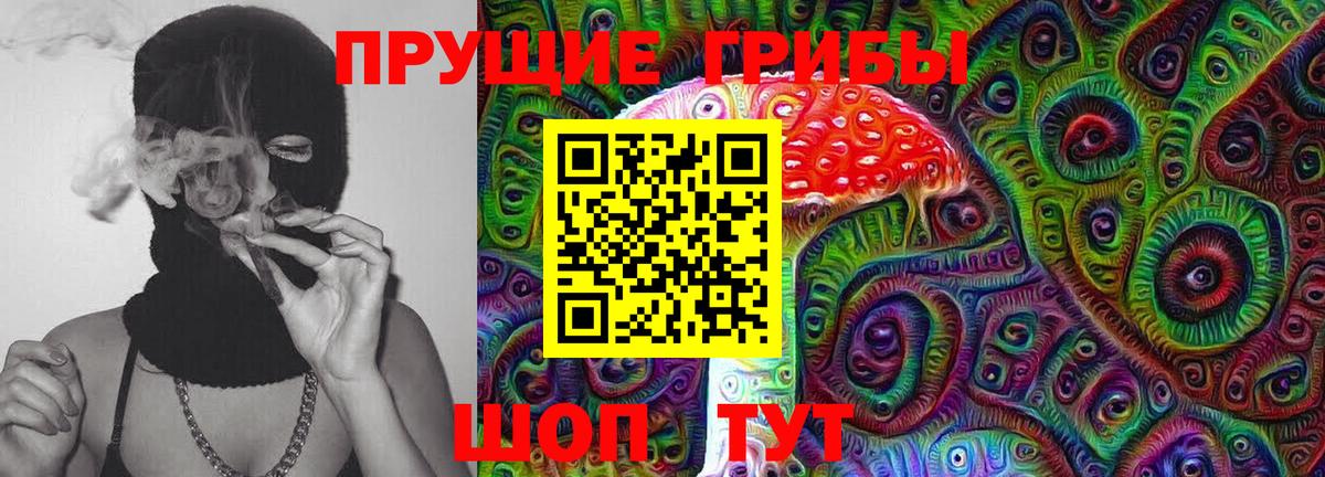 Псилоцибиновые грибы GOLDEN TEACHER  Вход с VPN  Можга 